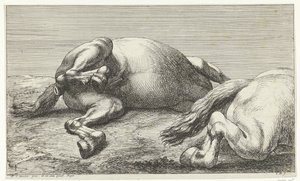 Two Horses Killed in Action Seen from the Left by Jan van Huchtenburgh  